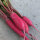 Radieschen Rote Riesen (Raphanus sativus) Samen