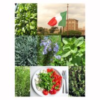 Würzkräuter für die italienische Küche - Samenset