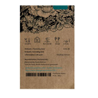 Inkarnatklee (Trifolium incarnatum) Samen