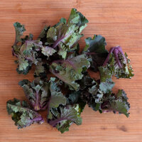 Kohlröschen (Brassica oleracea var. gemmifera x...