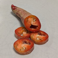 Chili Elefant (Capsicum annuum) Bio-Saatgut