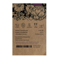 Winterkopfsalat Baquieu (Lactuca sativa) Bio-Saatgut