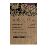 Eisbergsalat Reine de Glaces (Lactuca sativa) Samen