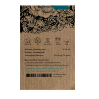 Pannonischer Salbei | Österreichischer Salbei  (Salvia austriaca) Samen