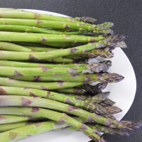 Violetter Spargel Argenteuil (Asparagus officinalis) Bio-Saatgut