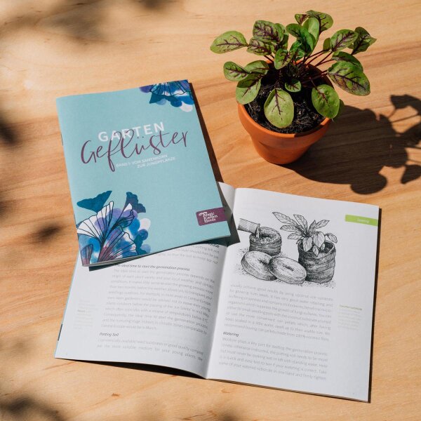 Alte historische Gemsesorten (Bio) - Samen-Geschenkset