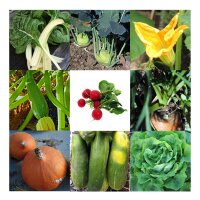 Gemüse-Vielfalt (Bio) - Samen-Geschenkset