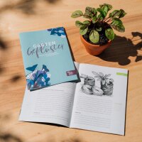 Schnell wachsende Blumen - Samen-Geschenkset