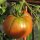 Tomate Schwarze Krim (Solanum lycopersicum) Bio Saatgut