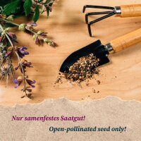 Gute Mischkulturpartner: Artischocke, Knollenfenchel, Salat & Salbei - Samen-Geschenkset