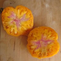 Tomate Old German (Solanum lycopersicum)