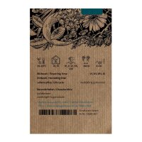 Mutterkraut (Tanacetum panthenium) Bio Saatgut