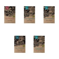 Wildblumen für den Präriegarten (Bio) - Samen-Geschenkset