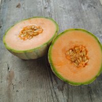 Cantaloupe Zuckermelone Retato Degli Ortolani (Cucumis melo) Bio Saatgut