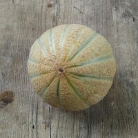 Cantaloupe Zuckermelone Retato Degli Ortolani (Cucumis...