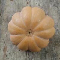 Muskatkürbis Muscade de Provence (Cucurbita moschata) Bio Saatgut