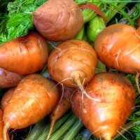 Bunter Karotten-Mix (Bio)