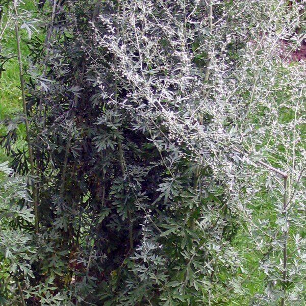künstlicher blumenstrauß hochzeit Künstlicher Blumenstrauß - Ophelia | 67 cm main image 0