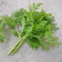 Qing Hao / Einjähriger Beifuss (Artemisia annua) Bio...