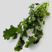 Stängelkohl / Cime di Rapa (Brassica rapa) Bio Saatgut