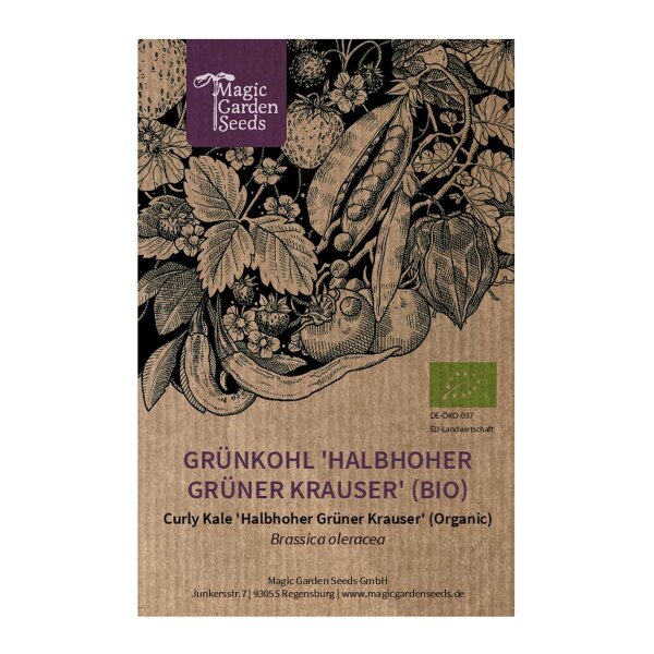 Grnkohl 'Halbhoher Grner Krauser' (Brassica oleracea) Bio Saatgut