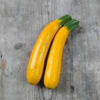 Gelbe Zucchini Goldena (Cucurbita pepo) Samen