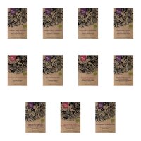 Hochbeet-Gemüse für Anfänger (Bio) - Samen-Geschenkset