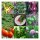 Hochbeet-Gemüse für Anfänger (Bio) - Samen-Geschenkset