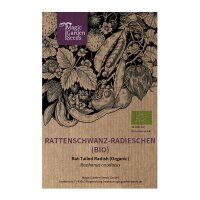 Rattenschwanz-Radieschen (Raphanus caudatus) Bio Saatgut