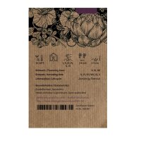 Bunter Karotten-Mix (Daucus carota) Samen